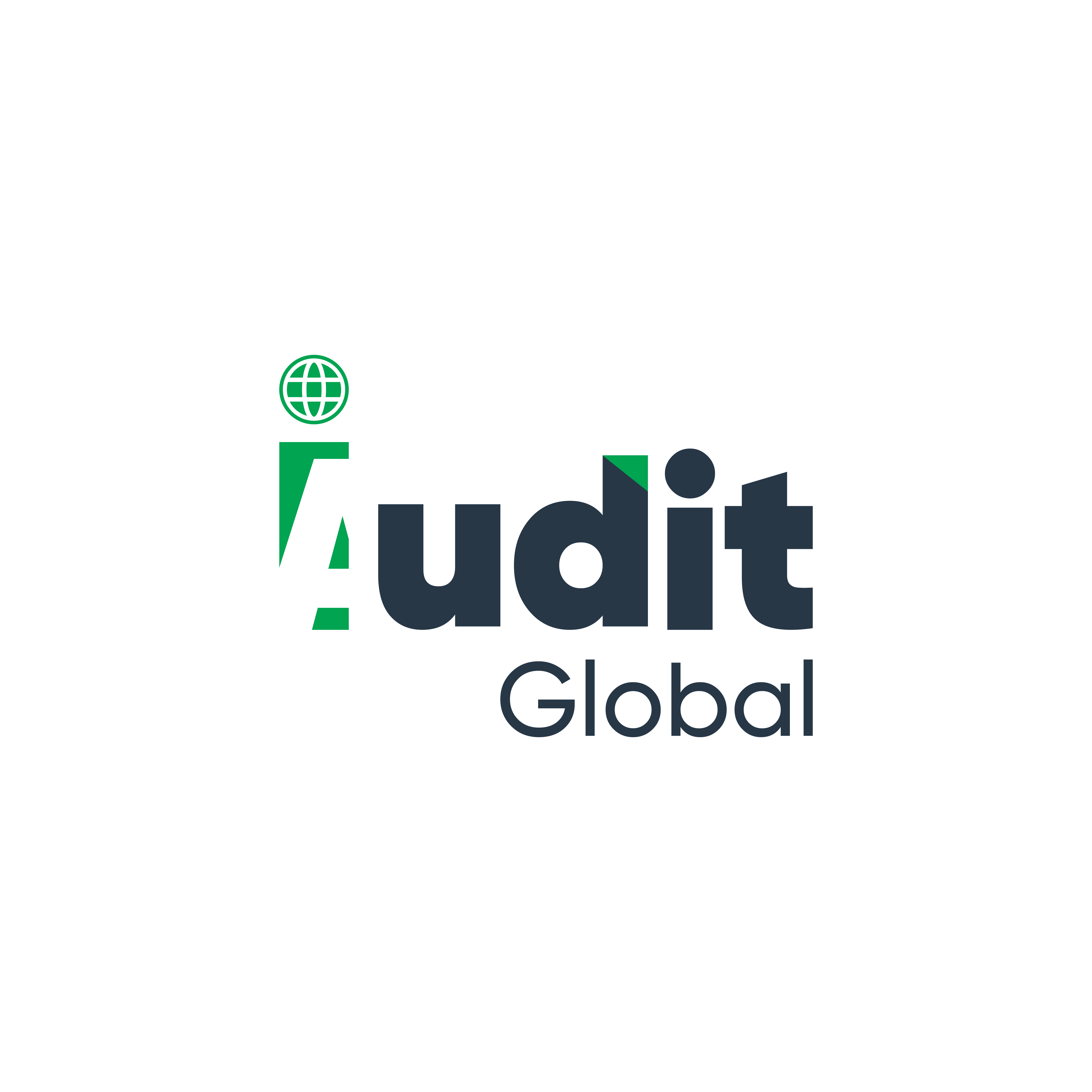 iAudit Global company logo